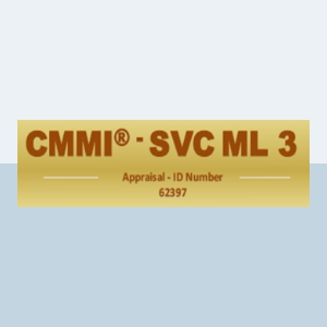 CMMI Services V 2.0 –Level 3