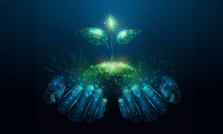 sify blog image